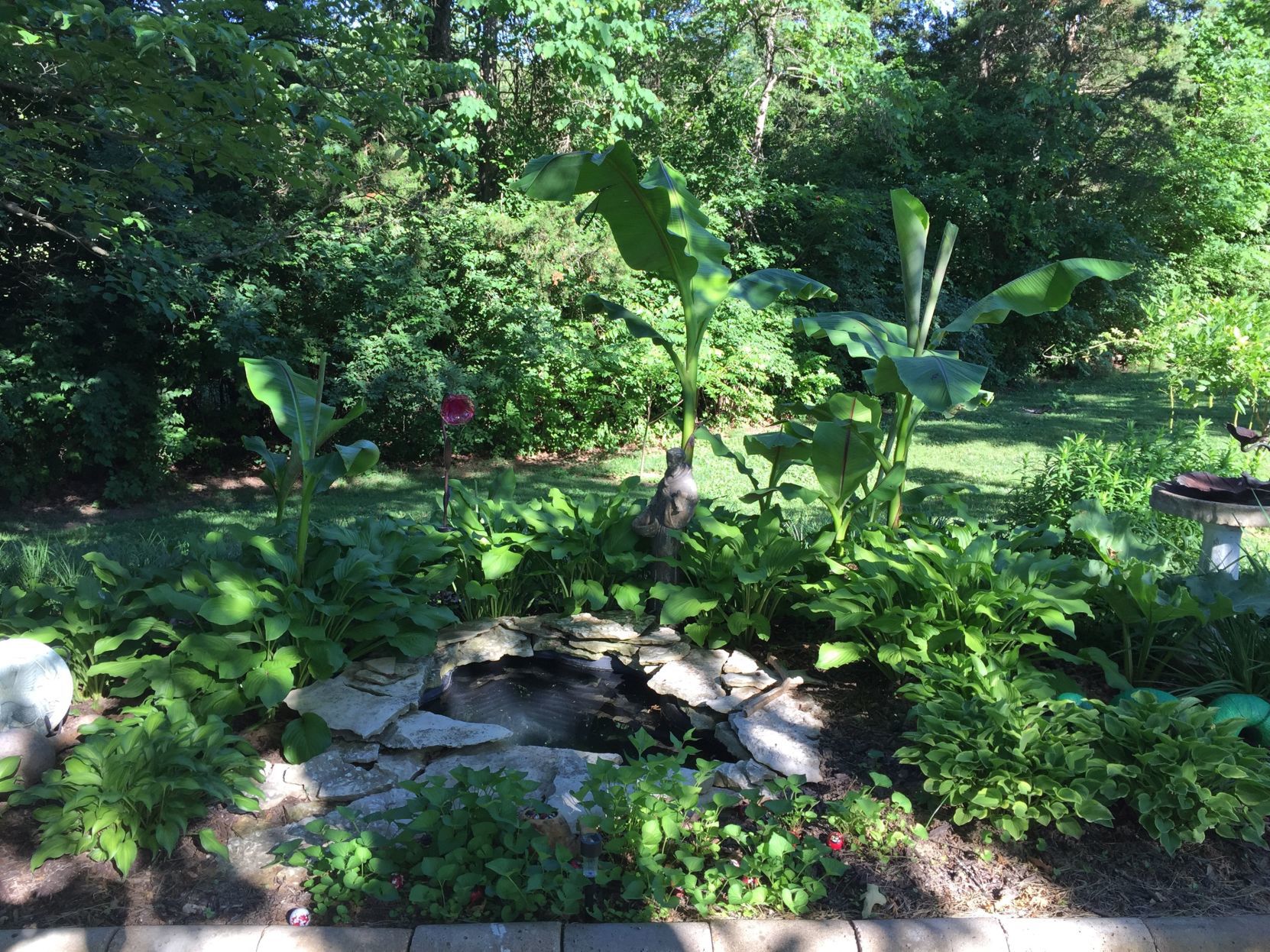 Tammy's Garden